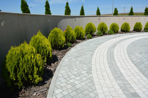 Best Decorative Driveway Pavers  in Weatherford, TX